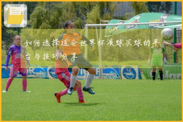 如何选择适合世界杯滚球买球的平台与技巧分享
