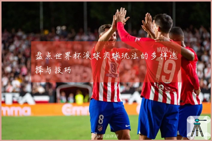 盘点世界杯滚球买球玩法的多样选择与技巧