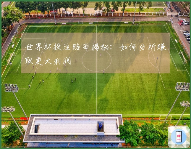 世界杯投注赔率揭秘：如何分析赚取更大利润