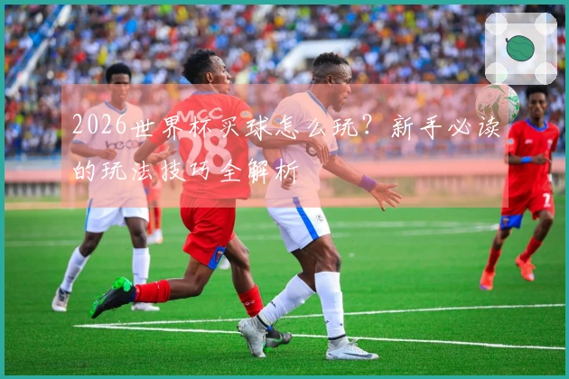 2026世界杯买球怎么玩？新手必读的玩法技巧全解析