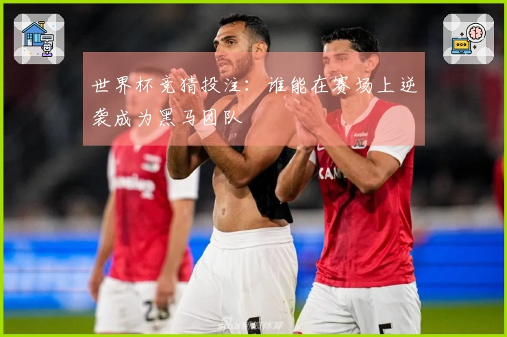 世界杯竞猜投注：谁能在赛场上逆袭成为黑马团队