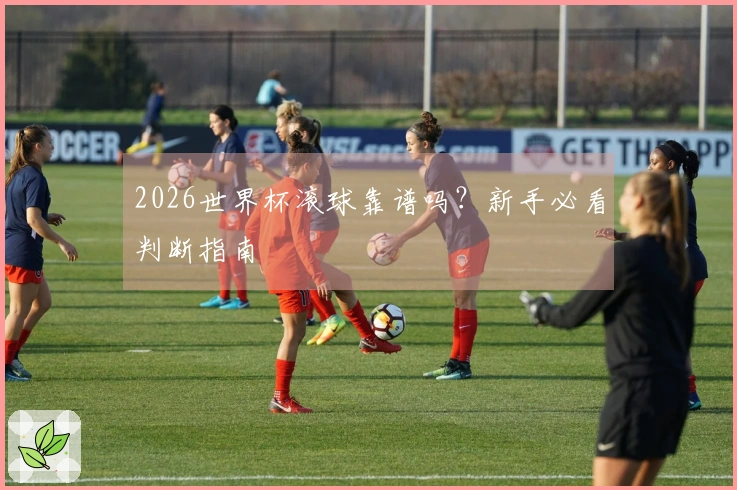 2026世界杯滚球靠谱吗？新手必看判断指南