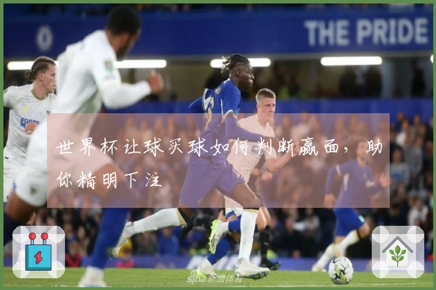 世界杯让球买球如何判断赢面，助你精明下注